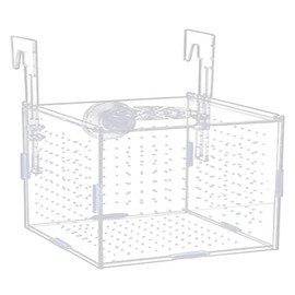 YAARUJEE Aquarium Fry Isolation Case, Medallion Box, Divider, Breeding Case, Acrylic, Tropical Fish, Transparent, Acrylic, 5.9 x 3.9 x 3.9 inches (15 x 10 x 10 cm), Suction Cup Included, Spawning Box