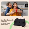 Benazcap Lumbar Support Cushion for Lower and Middle Back, Memory