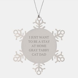 Gray Tabby Cat Snowflake Ornament Gift for Men Friends from I Just Want to Be A Stay at Home Gray Tabby Cat Dad to Fathers Christmas Unique Gifts