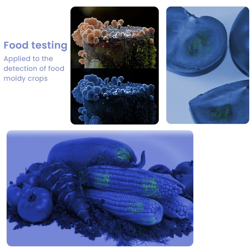 UV Flashlight Black Light Flashligh 4 Core 15W for Pet