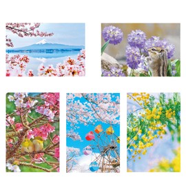 Set of 5 Postcards Spring Photo Cherry Blossoms Birds Wild Birds Flower Nature Scenery Cute Postcard Message Greeting Thank You Season Present Adult Greeting Card Stylish Interior 5.8 x 3.9 inches