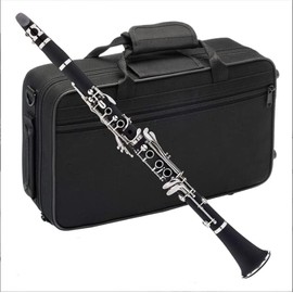 Leo Jaymz Clarinet Bb Flat 17 Nickel Keys White Beginner - Student Clarinet with 2 Barrels Hard Clarinet Case and Clarinet Cleaning Kit.