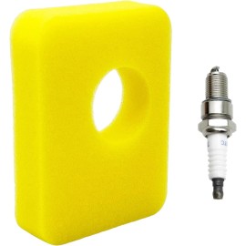 RayTour Air Cleaner Foam Filter 799579 for B.S. Engine