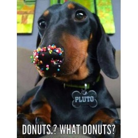 Dachshund  refrigerator magnet 2 1/2x 3 1/2 "