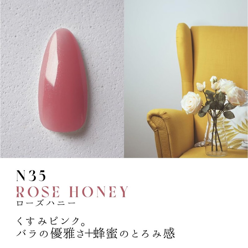Dna Gel カラージェル N35 2.5g ローズハニー