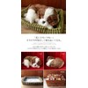 Ninia and Kino Perfect Pet Shih Tzu, Size S Approx.