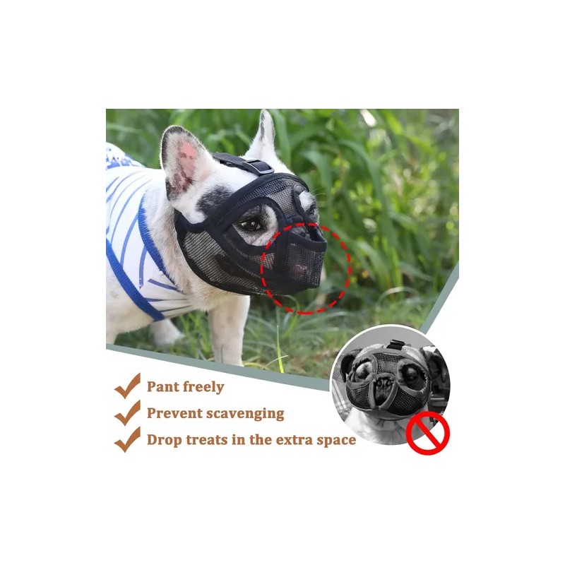 Bozal De Bulldog Francés, Inglés, Pug, Perros Hocico Corto