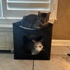 Geizire Cat Beds for Indoor Cats,Cute Shape Cat Cave, Foldable