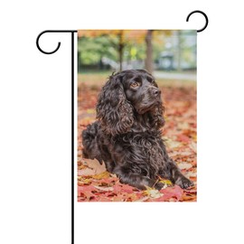 BlueViper Handsome Dog Boykin Spaniel Garden Flag Banner 12 x 18 Inch Decorative Garden Flag for Outdoor Lawn and Garden Home Décor Double-Sided
