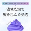 Kyogoku Kyogoku Silver Color Foam Conditioner