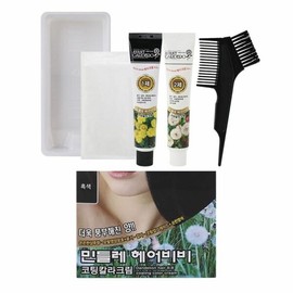 Dandelion mild shampoo scent coating color cream hair dye 150g black (WB70C29) - Basic product / 민들레 은은한샴푸향 코팅칼라크림 염색약 150g 흑색 (WB70C29) - 기본상품