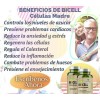 BICELL BIOCELL Celulas Madre 2 Botes Regenerador Celular Salud Diaria