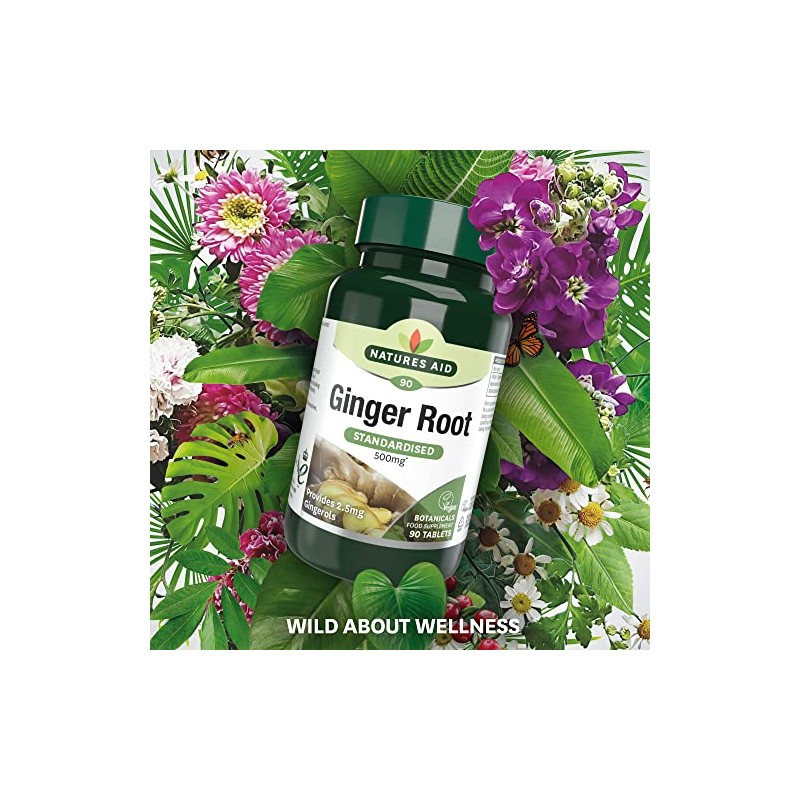 Natures Aid Ginger Root 500 mg 90 Tablets (Botanical Supplement,