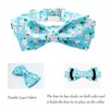 Lionet Paws Blue Dog Collar with Bow Tie, Durable Comfortable