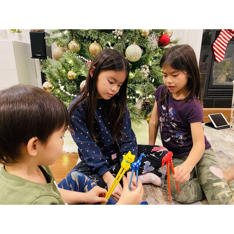 Kids Training Chopsticks for Toddlers, Kids and Adults with 4