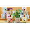 Feel Green Celebrations Ecocube, Orchid Tree, Wooden Cube with Laser