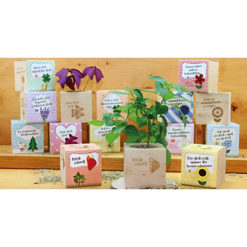 Feel Green Celebrations Ecocube, Orchid Tree, Wooden Cube with Laser