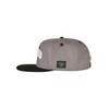 Cayler & Sons Men's Crew Wild Cap, Grey/black