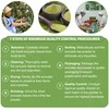 BOTAMONY 65 Premium Avocado Leaf Tea Bags 2g/teabag, Avocado Leaves