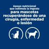 Hills Lata Ad Recuperacin 24pack Latas Original
