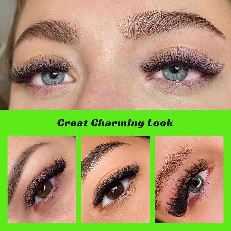 Kolybel 500 Eyelash Extensions 14D 0.03 Thickness 8-15mm Premade Fans