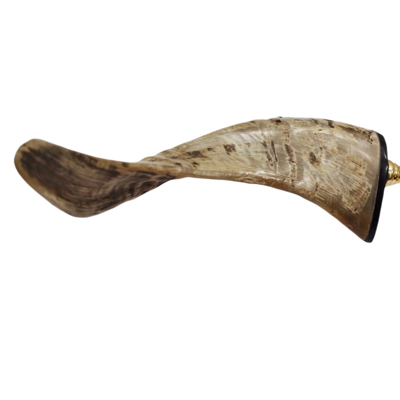 Nautical Solid Brass Handcraft Magnifying Glass with Buffalo Horn Handle
