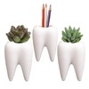 YOUYA DENTAL Succulent Plant Pots, Cute Tooth Shape White Ceramic