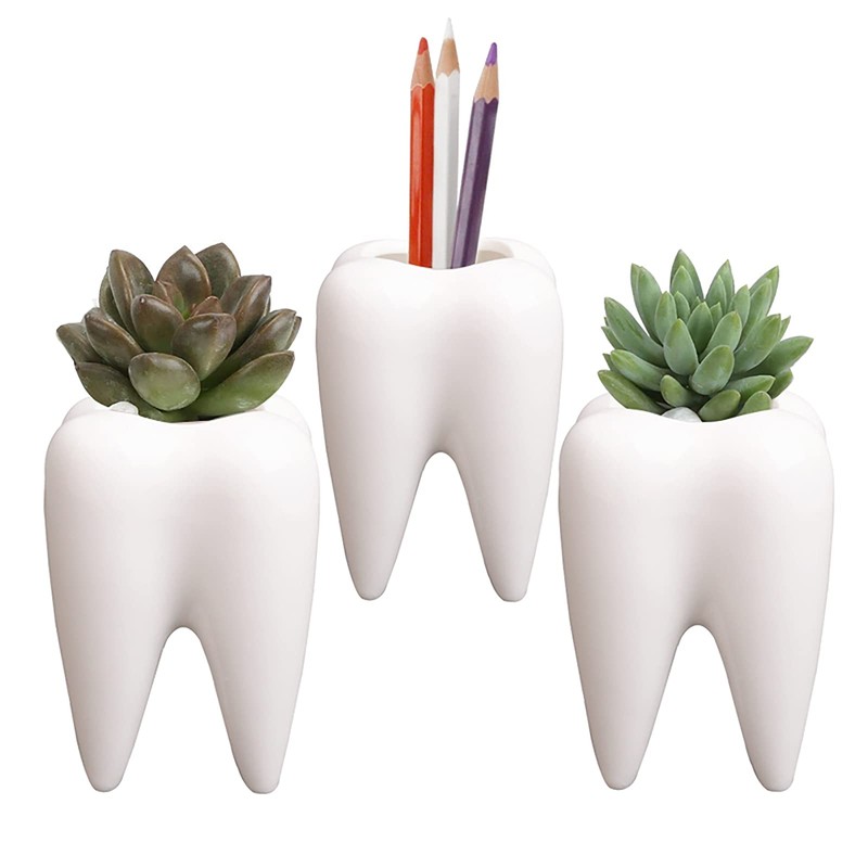YOUYA DENTAL Succulent Plant Pots, Cute Tooth Shape White Ceramic