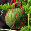 Pack 10 Melon Hammock Watermelon Nets,Melon Hammock for Trellis Heavy