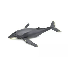 C/O Humpback Whale, Realistic Toy Model Plastic Replica Animal, Kids Gift 12.5" M031