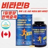 Evergreen Vitamin B Complex Energy Forte (560mg/90 Capsules) x 3 Units