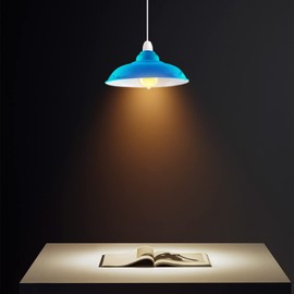 Modern Industrial Metal Ceiling Light Shade 32cm Curved Easy Fit Pendant Lamp Shade with Free Reducer Plate for Living Room (Sky Blue)