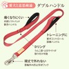 PetPilala Dog Lead, Walking, Training, Training, 2 Handles, Night Reflection