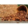 plantonix Organic Coco Chips for Plants (10lbs) - Coco Coir