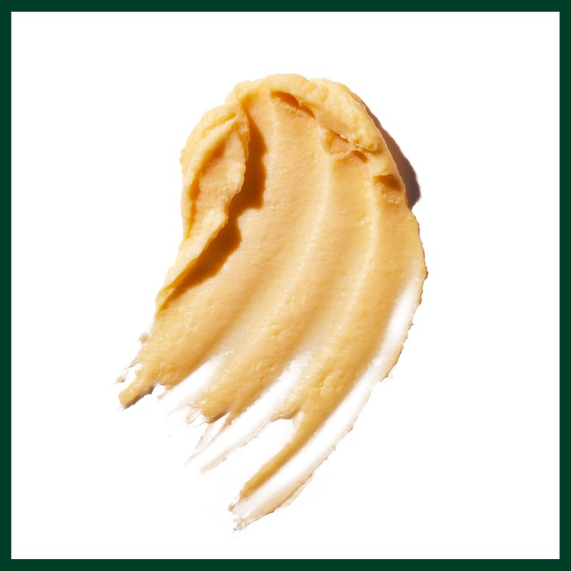 Aveda Control Paste Hair Pomade | Medium Hold Pomade |