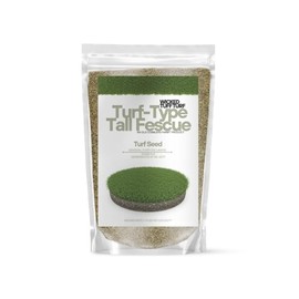 Old Cobblers Farm™ Wicked Tuff Turf Turf-Type Tall Fescue (Variety Not Stated) – Fast Germination, Deep Root Growth, and Lasting Lawn Performance (5lbs|10lbs|15lbs|20lbs) (20lbs)