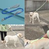 LAVAMOND Dog Leash Elastic, No-Pull Seatbelt Bungee Heavy Duty, Shock