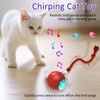 Giociv Interactive Cat Toys Ball for Indoor Cats Fast Rolling