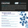 Creatine NAD Enhanced 550g Creatina Monohidratada Micronizada con Precursores Triples