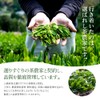 Delicious Japanese Tea Laboratory, Sencha Tea Bag, 0.1 oz (4
