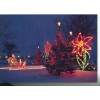 FRANKENMUTH, MICHIGAN BRONNERS CHRISTMAS TRIANGLE PARK ON POSTCARD (CD#78*)