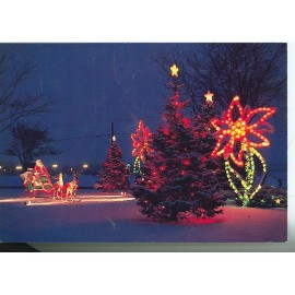 FRANKENMUTH, MICHIGAN BRONNERS CHRISTMAS TRIANGLE PARK ON POSTCARD (CD#78*)