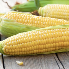 Sweet Corn Seeds Fast-Growing Annual GMO Free Home Garden Outdoor Plant 500Pcs Vegetable Seeds by YEGAOL Garden