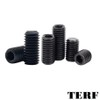 TERF® M4 X 8mm Allen Head Hex Socket Grub Screws