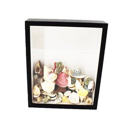 Shadow Box with Slot On Top，8.5"x10.5"Seashell Display Box, Seashell Holder Display Box，, Shell Display Box, Shell Storage Box Display Cabinet Decorated with Shells and Starfish Ornaments (Black)