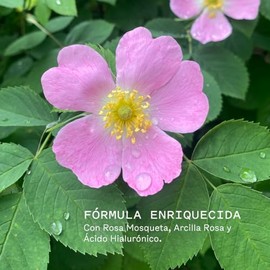 Botanicus Mascarilla Facial de Rosa Mosqueta con Ácido Hialurónico y Arcilla Rosa 120ml, Hidratante y Revitalizante, Ayuda a Mejorar la Apariencia de Arrugas, Poros y Piel Sensible