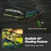 Probite Soft Frog Lures, Topwater Swimbaits for Bass Fishing, Realistic