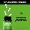 Soursop Guanábana 1000mg Beyond Vitamins Extracto Orgánico Polvo Alta Concentración
