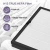 E-200 True HEPA Filter Replacement Compatible with LUNINO E-200 Air