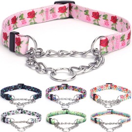 haoyueer Martingale Dog Collar - Stainless Steel Chain, No Pull Training Collar with Flower Design for Large Medium Small Dogs (M, Roses)